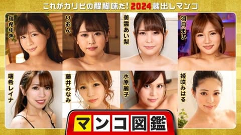 小穴图鑑 〜这就是加勒比的醍醐味！2024珍藏小穴〜 caribbeancom_010225_001